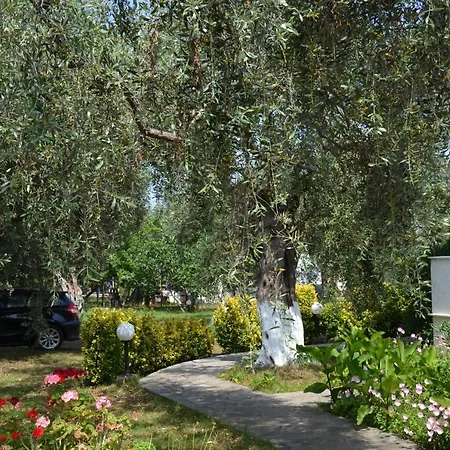 Elina Golden Πανσιόν 4*